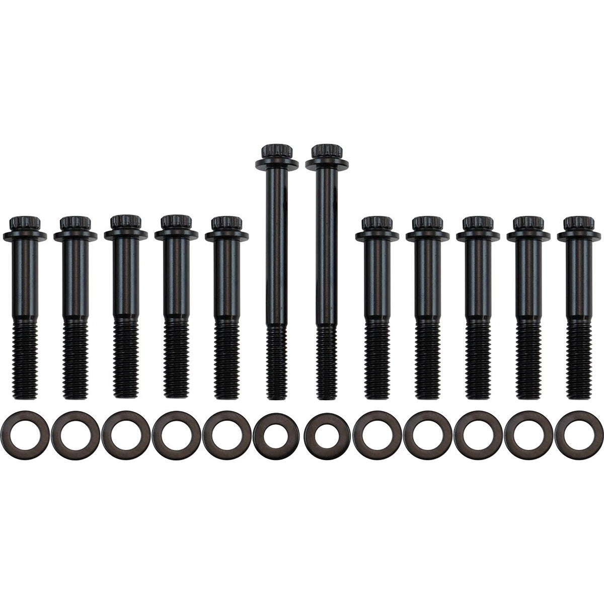 Ford V8 302 351 Cleveland Intake Bolts - Black Finish 12 Point Head, Pack of 12
